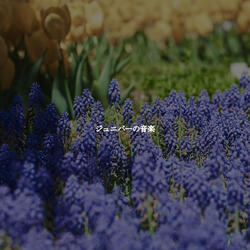 Smart Ambience for Deluxe Staycationing