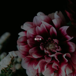 Latin Guitar Soundtrack for Weekend Upgrades