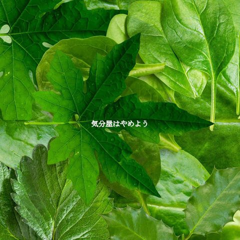 気分屋はやめよう