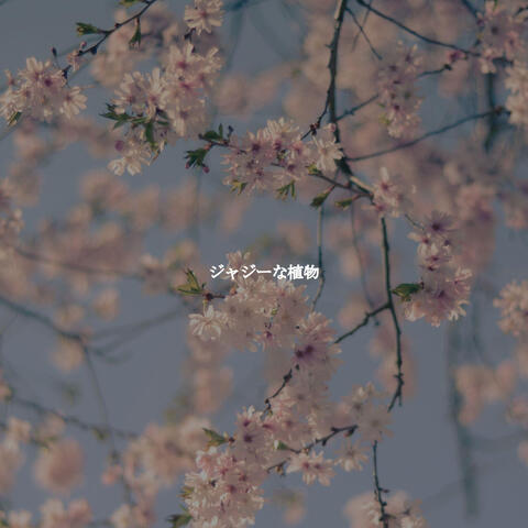 ジャジーな植物