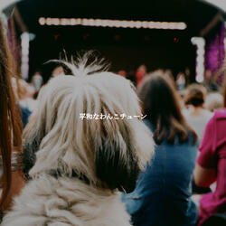 Background for Free Suites