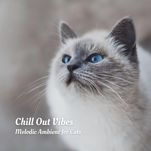 Chill Out Vibes: Melodic Ambient for Cats