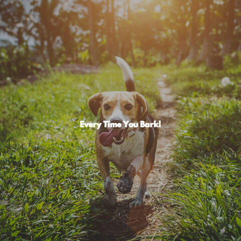 Every Time You Bark!