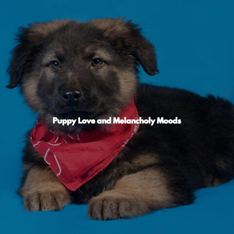 Puppy Love and Melancholy Moods