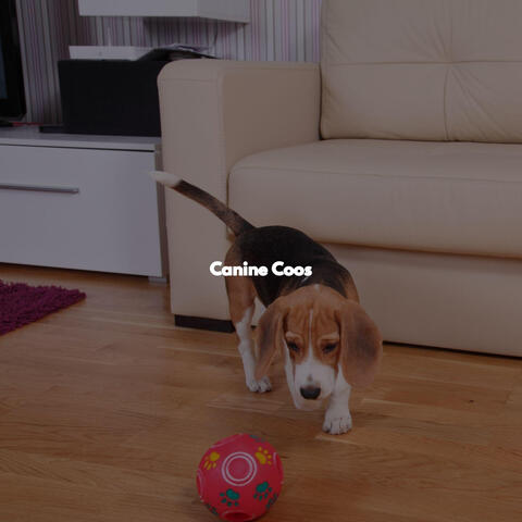 Canine Coos