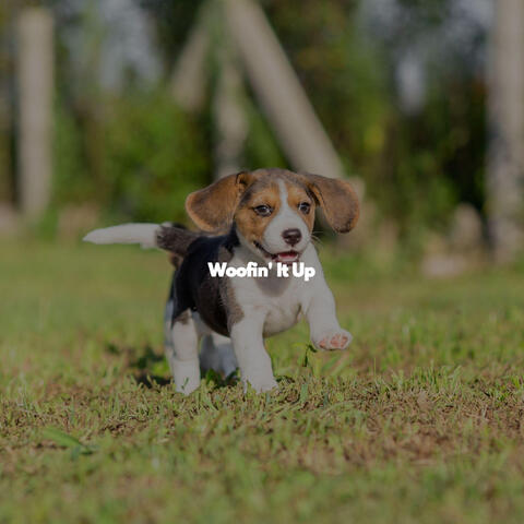 Woofin' It Up