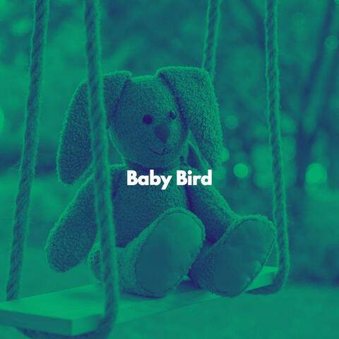 Baby Bird