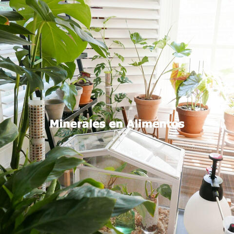 Minerales en Alimentos