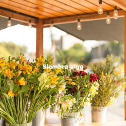 Happening Music for Fresh Weekends