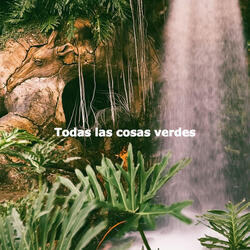 Subtle Backdrops for Endless Weekend