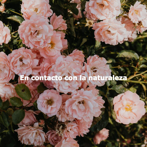 En contacto con la naturaleza