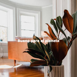 Smart Ambience for Hazy Dreams