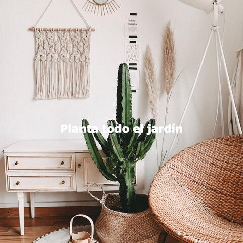 Planta todo el jardín