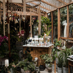 Background for Enchanting Afternoons