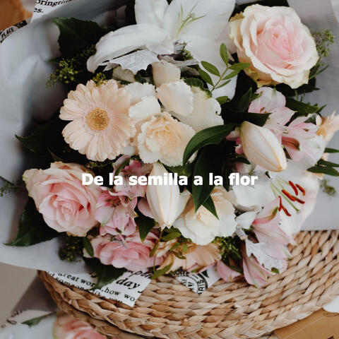 De la semilla a la flor