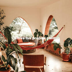 Vivacious Backdrops for Hazy Dreams