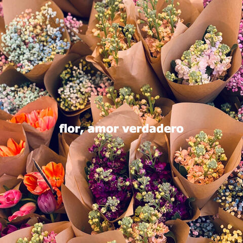 flor, amor verdadero