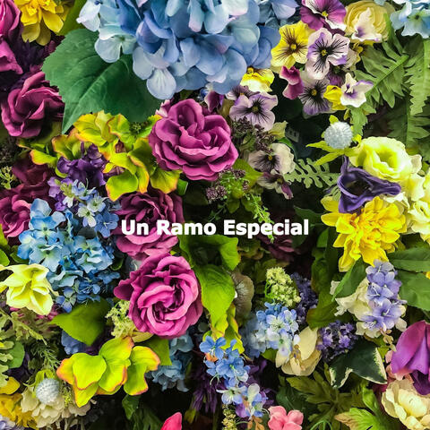 Un Ramo Especial