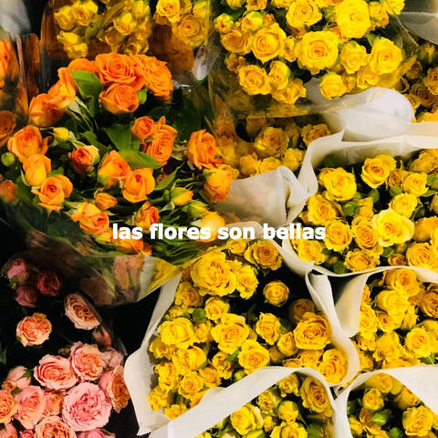 las flores son bellas