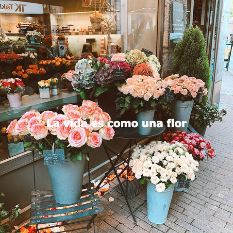 La vida es como una flor