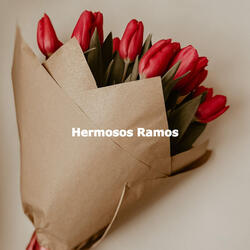 Distinguished Music for Moments