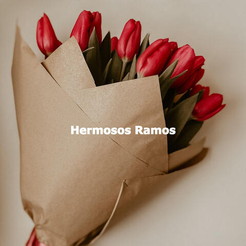 Hermosos Ramos