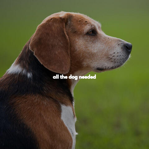 all the dog needed