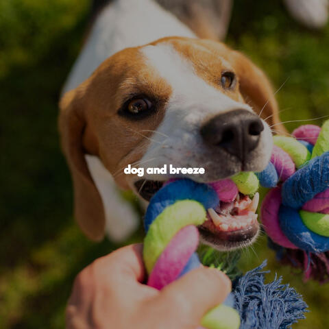 dog and breeze