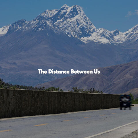 The Distance Between Us