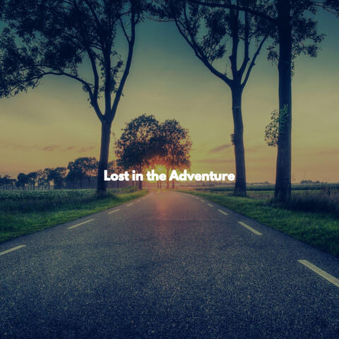 Lost in the Adventure