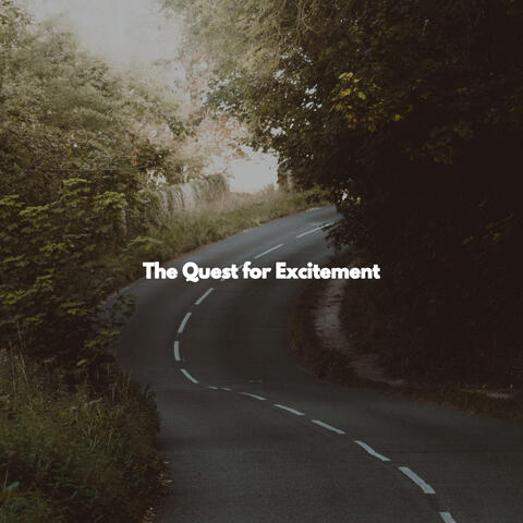 The Quest for Excitement