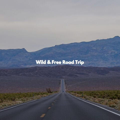 Wild & Free Road Trip