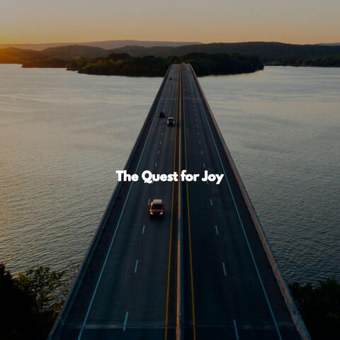 The Quest for Joy