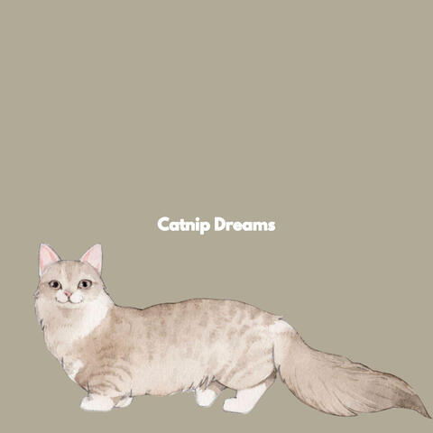 Catnip Dreams
