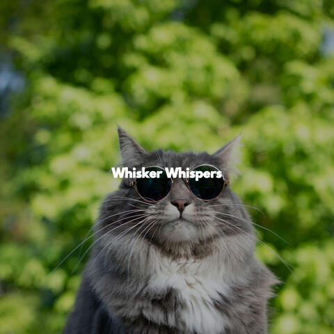 Whisker Whispers
