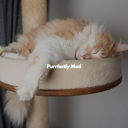 Latin Guitar Soundtrack for Cool Autumn Mornings