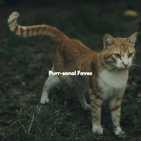 Purr-sonal Faves