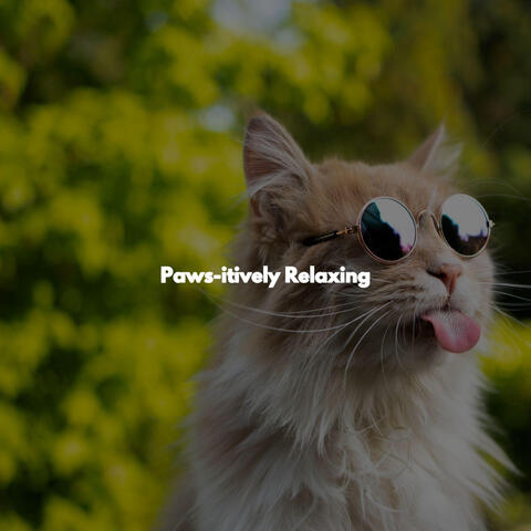 Paws-itively Relaxing