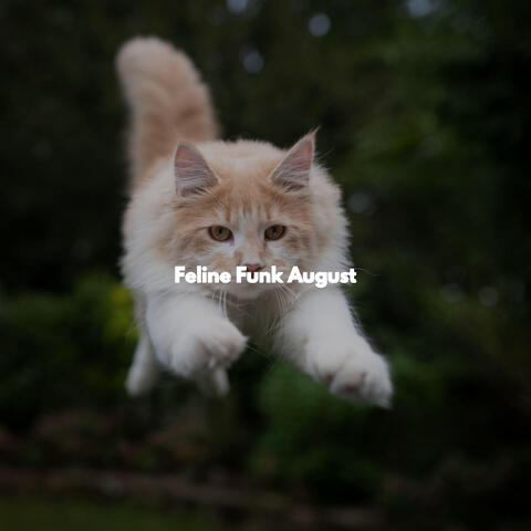 Feline Funk August