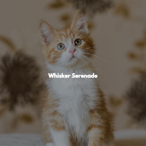 Whisker Serenade