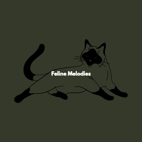 Feline Melodies