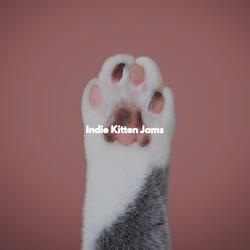 Sublime Moods for Chilled Morning Vibes