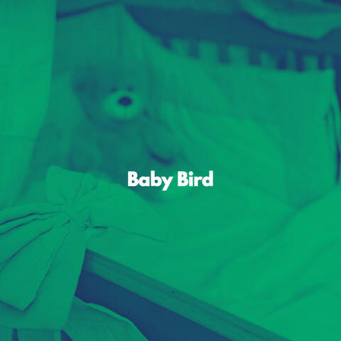Baby Bird