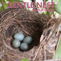 Gentle Nest