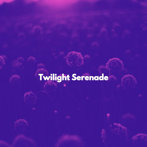 Twilight Serenade
