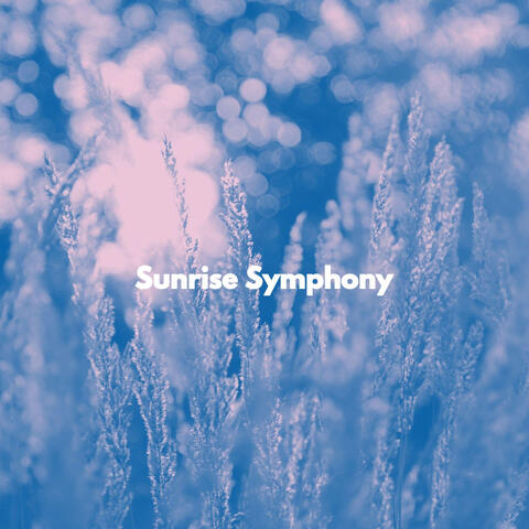 Sunrise Symphony