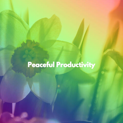 Peaceful Productivity