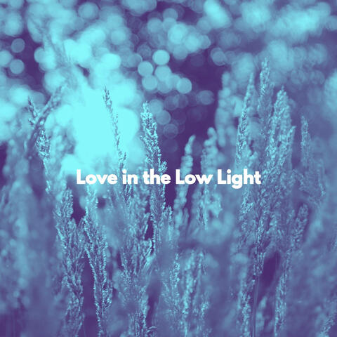 Love in the Low Light