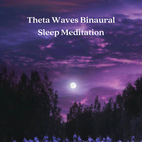 Theta Waves Binaural Sleep Meditation