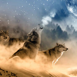Lobo aullando